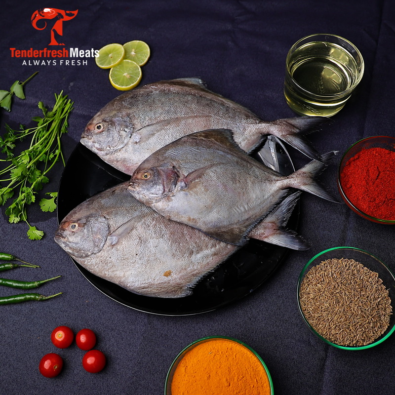 view/exotic-black-pomfret-fish-45021863